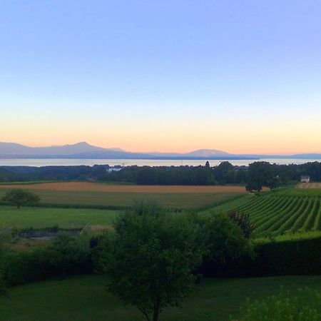 Le Chateau Lavigny Экстерьер фото