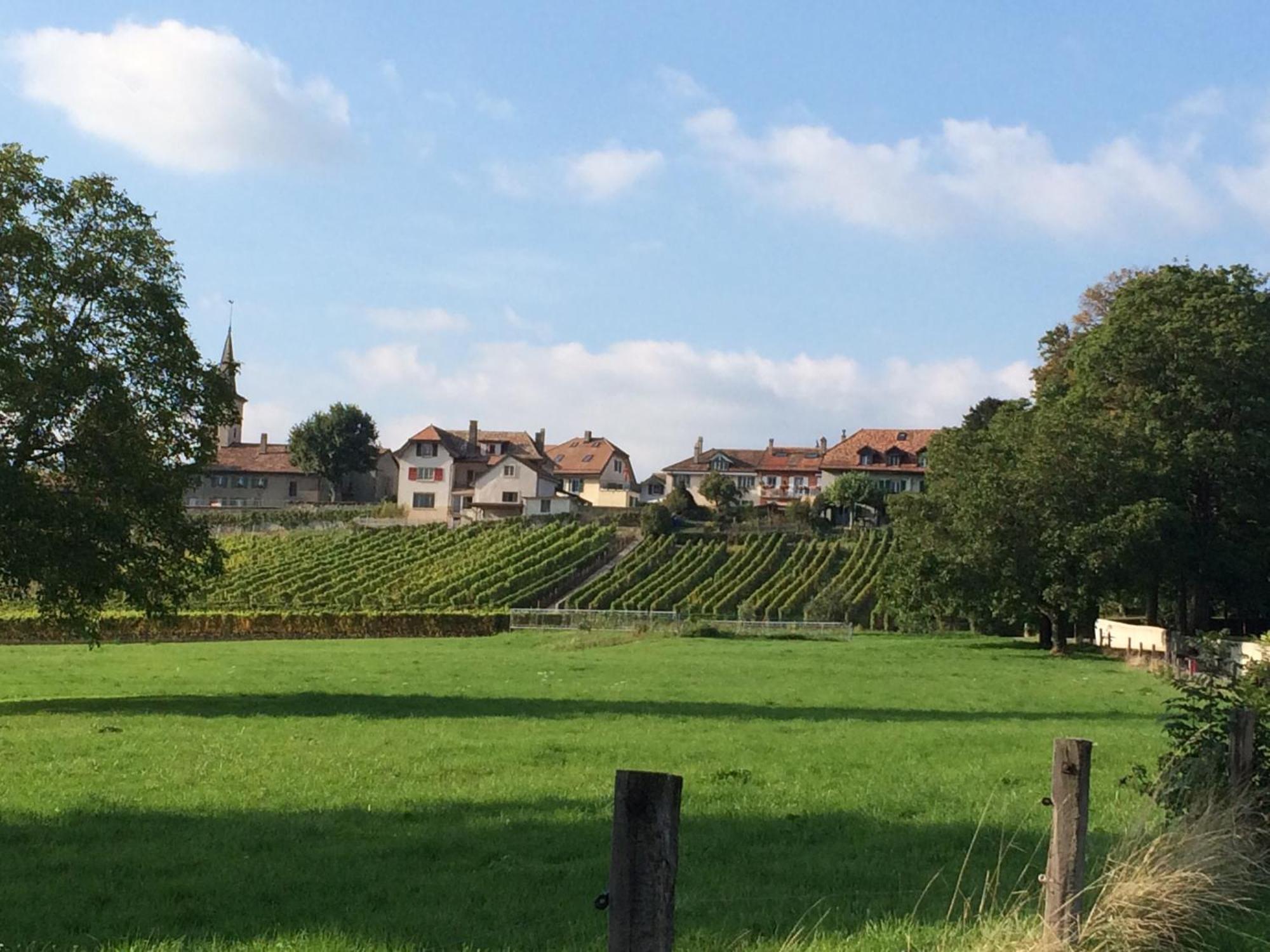 Le Chateau Lavigny Экстерьер фото