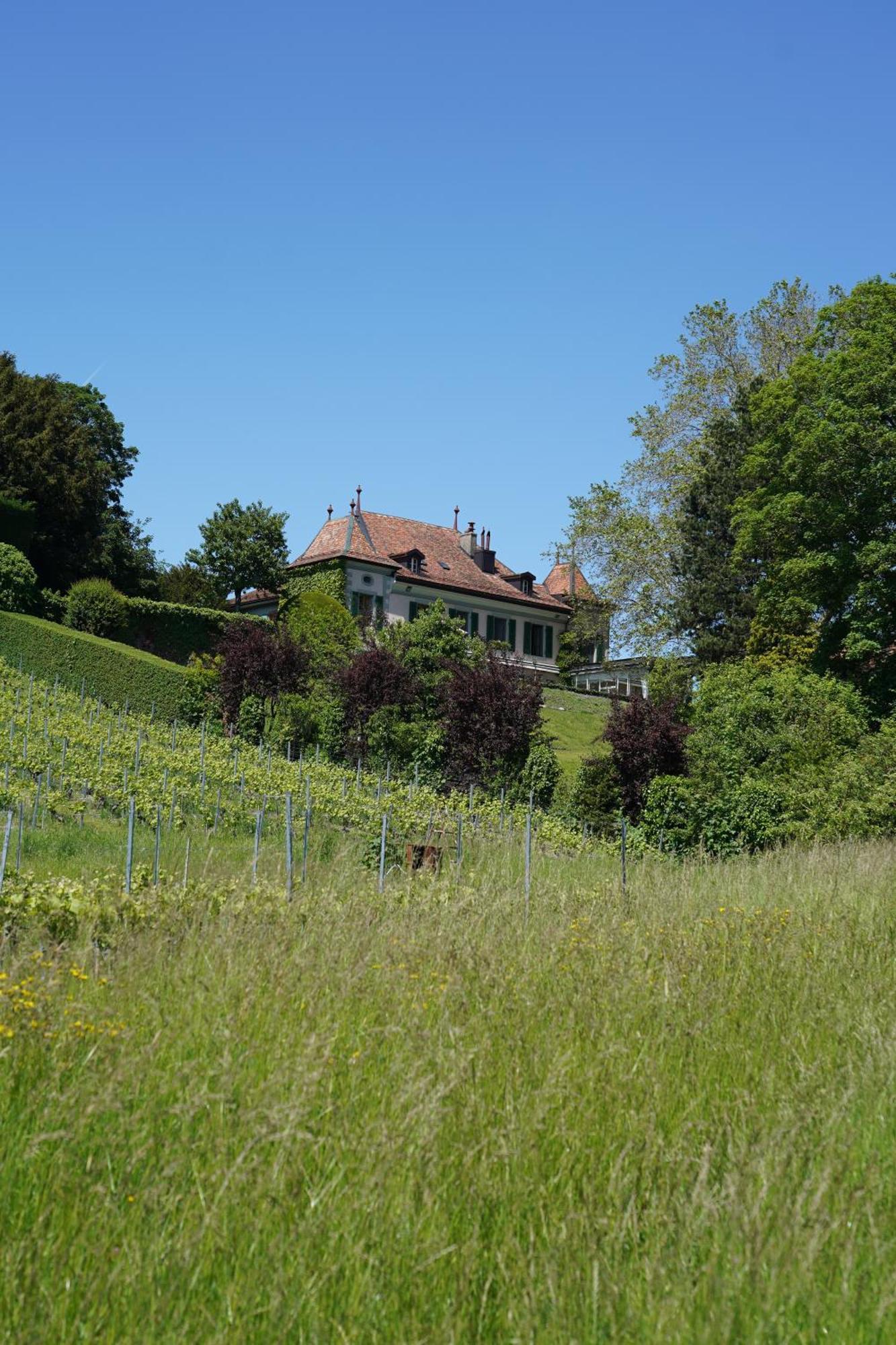 Le Chateau Lavigny Экстерьер фото