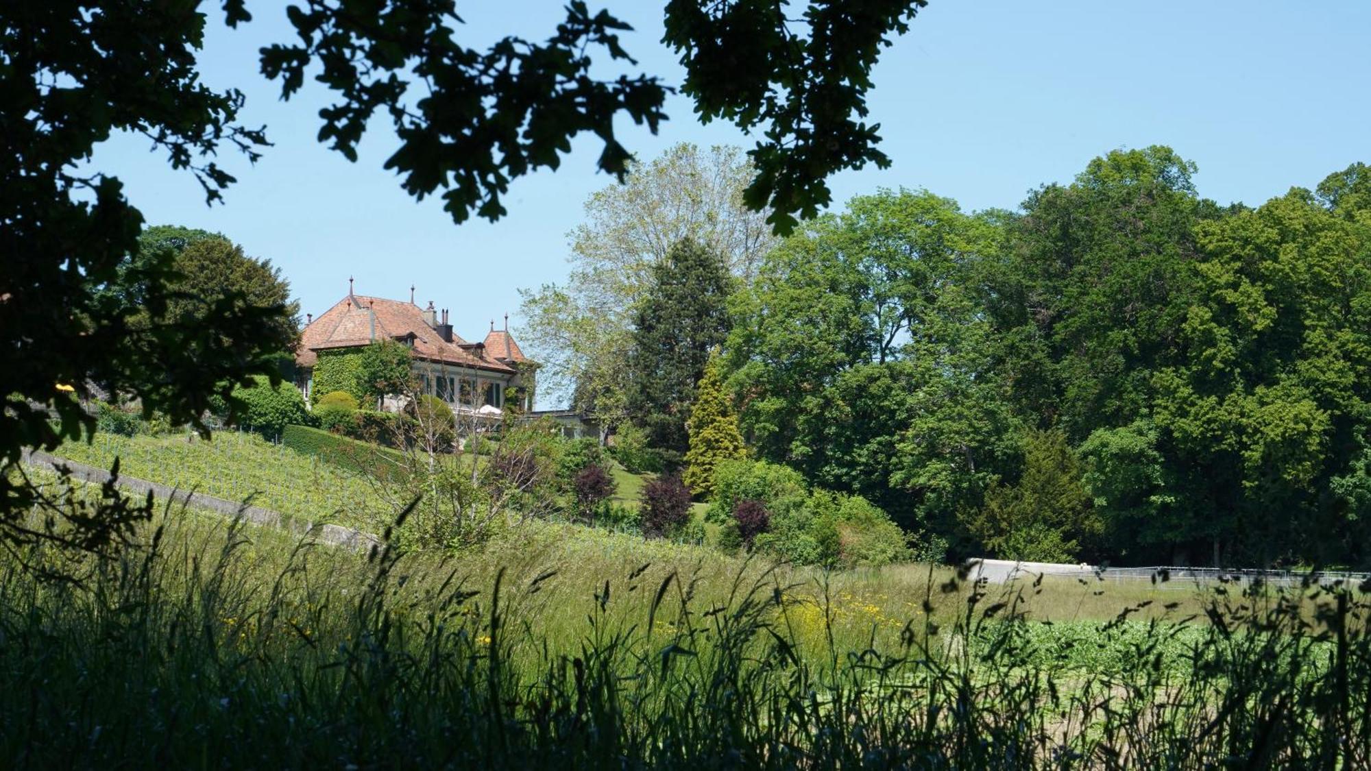 Le Chateau Lavigny Экстерьер фото